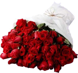 100 Red Roses