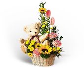 Basket of Bear with Blooms