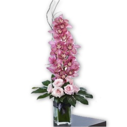 Cymbidium Orchid and Rose Arrangement