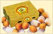 Alphonso Mangoes