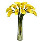 Classic Yellow Callas