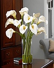 Classic White Callas