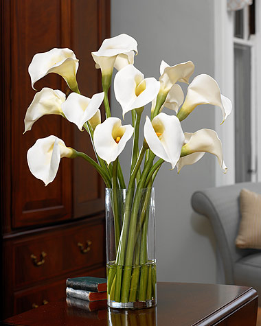Classic White Callas