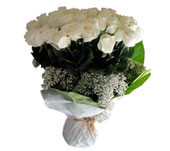 100 White Roses