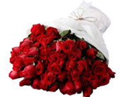 100 Red Roses