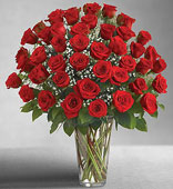 	Cherishing Rose (48 Red Roses)