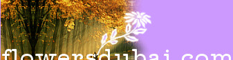flowersdubai.com